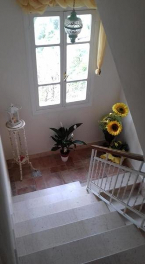Il Girasole ...At Andorus' House